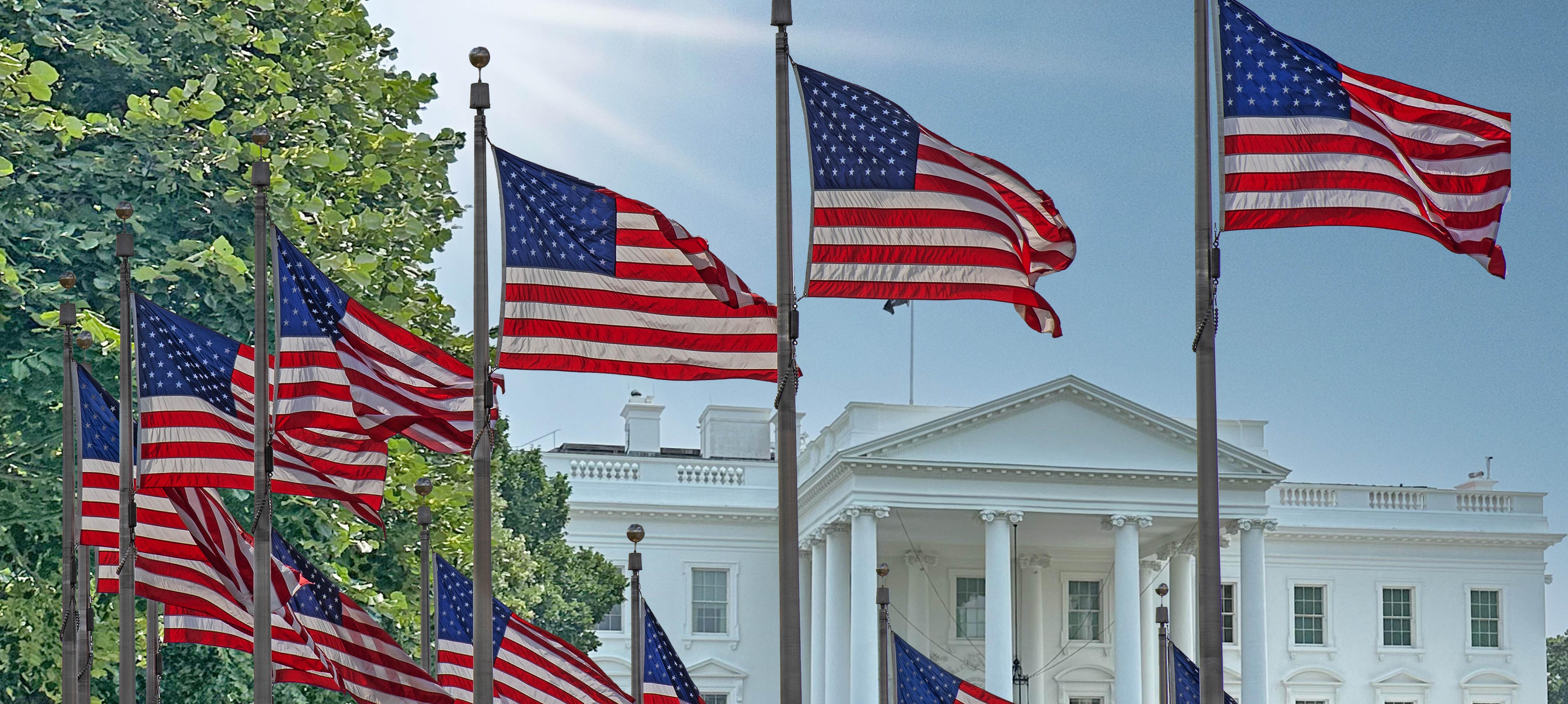 Flags surrounding White house