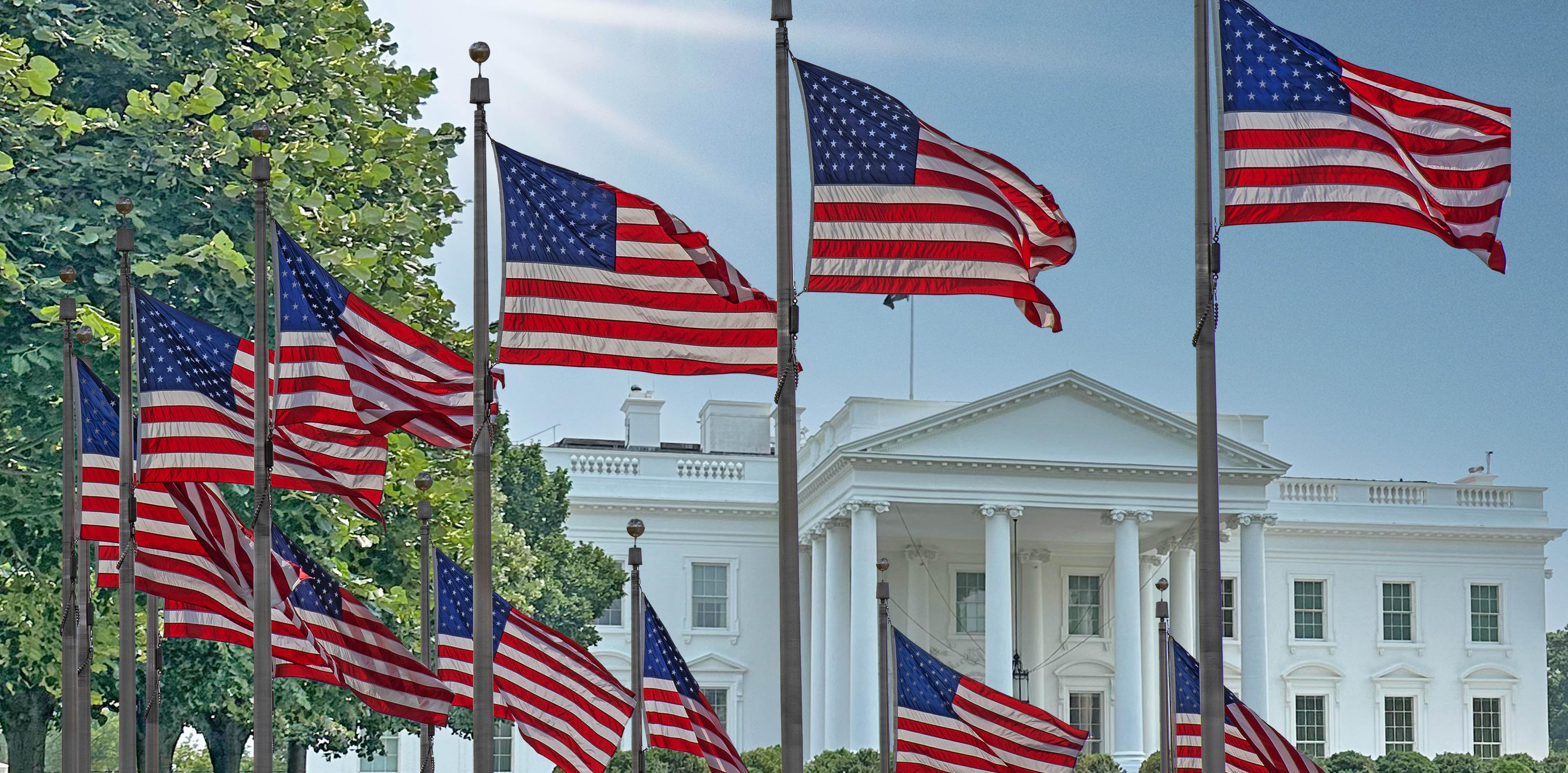 Flags surrounding White house