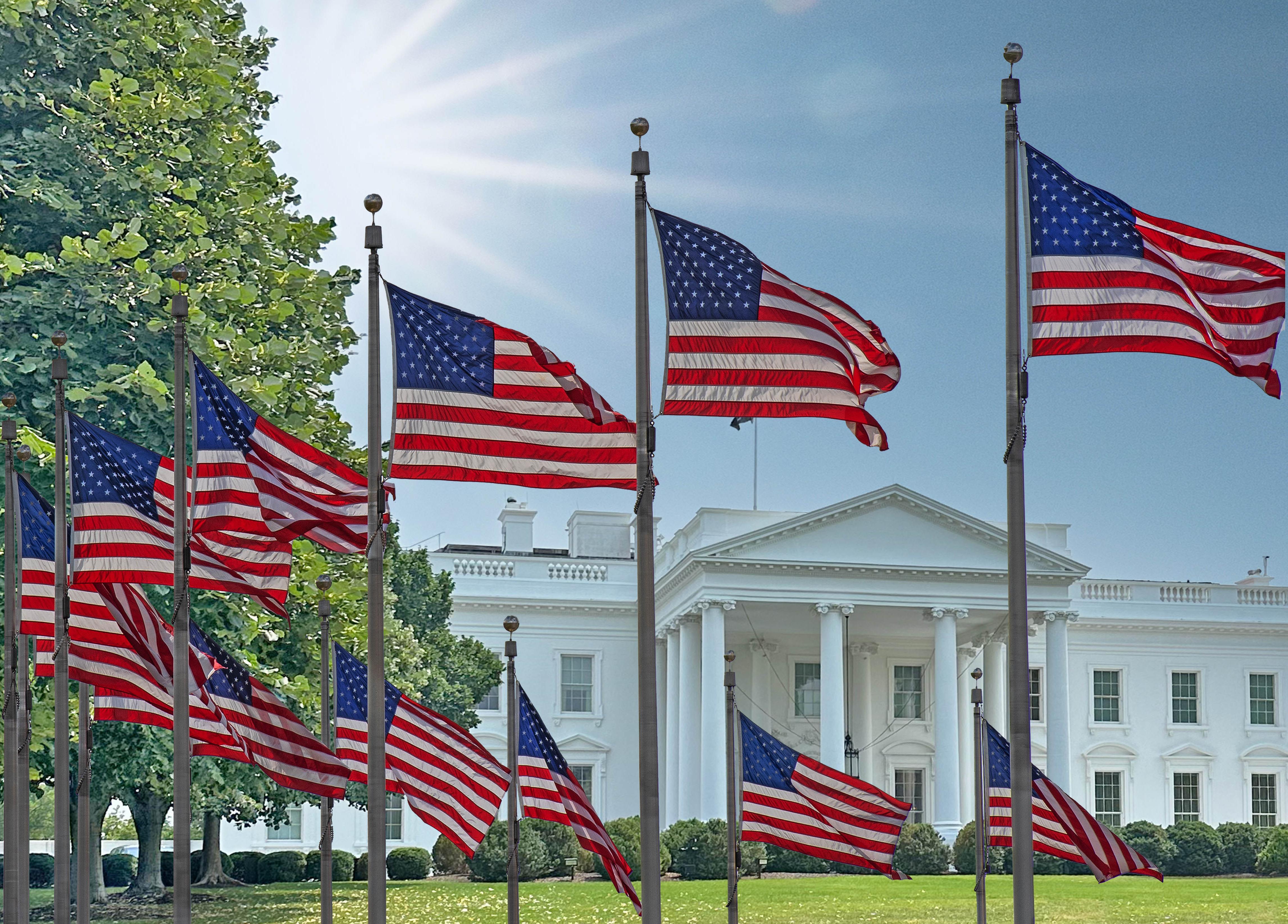 Flags surrounding White house