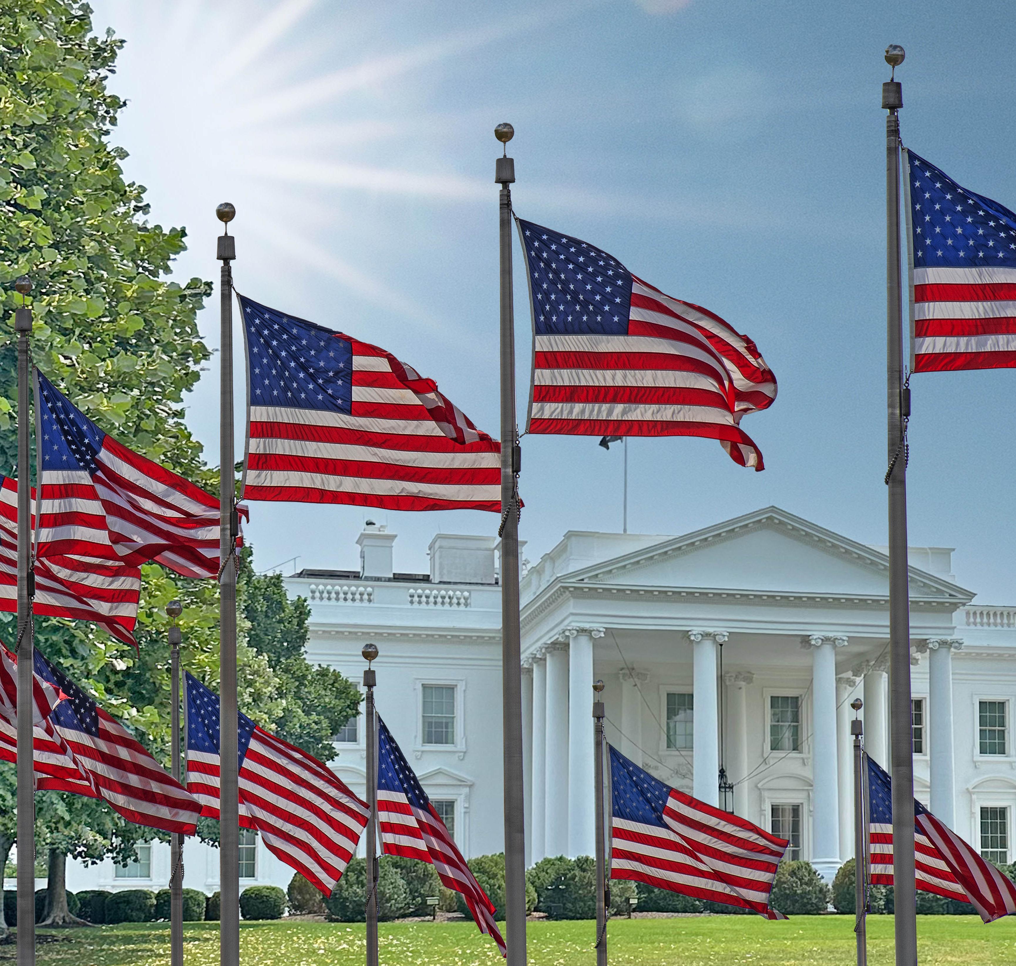 Flags surrounding White house